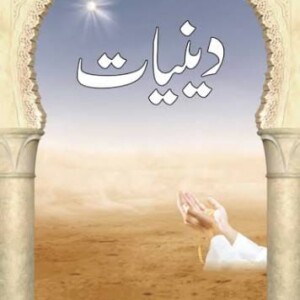 DEENIYAAT (Copy)